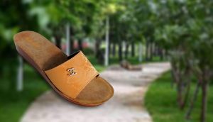 درباره صندل بیشتر بدانیم